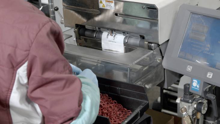 Seal Production Stage