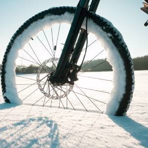 shutterstock_1959354688 (1)-1